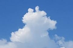 dog-cloud