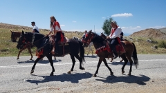 Siatista-horses-15-August-12